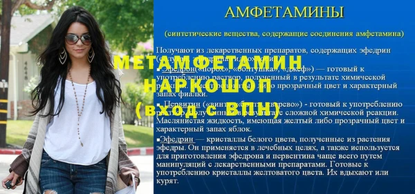 амф Бородино
