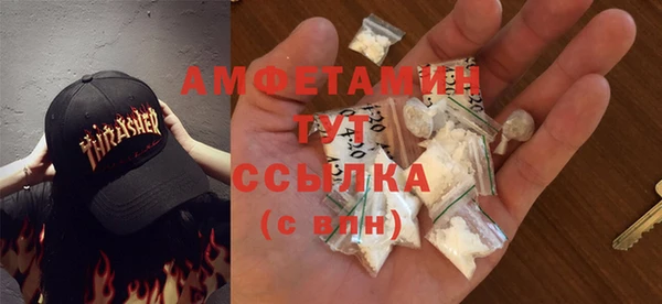 амф Бородино