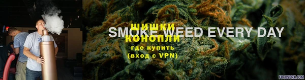 стаф Бронницы