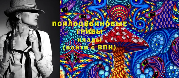 стаф Бронницы