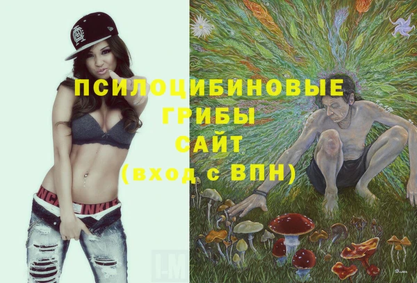 амф Бородино