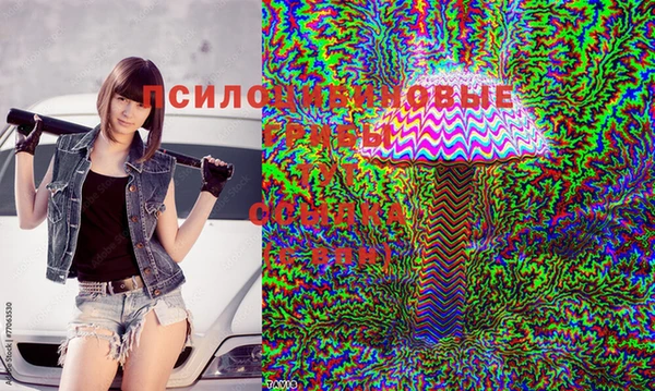 амф Бородино