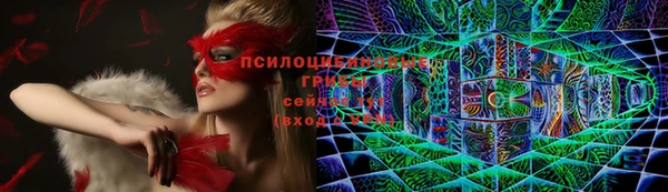 гидра Бугульма