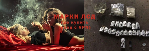 амф Бородино