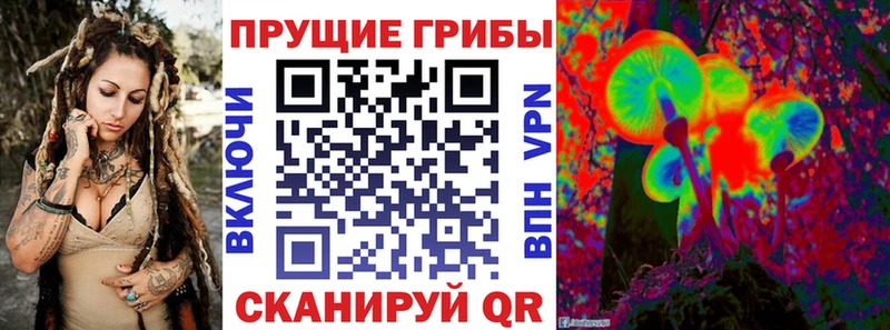 где продают   Курск  Галлюциногенные грибы MAGIC MUSHROOMS 