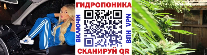 купить   Курск  Бошки марихуана SATIVA & INDICA 